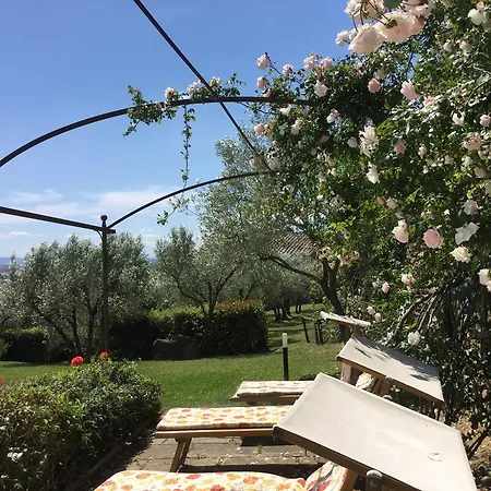 Casale Gorgone * Cortona